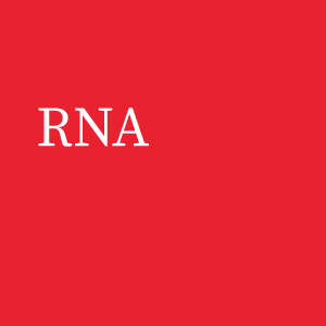 RNA