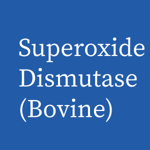 superoxide bovine
